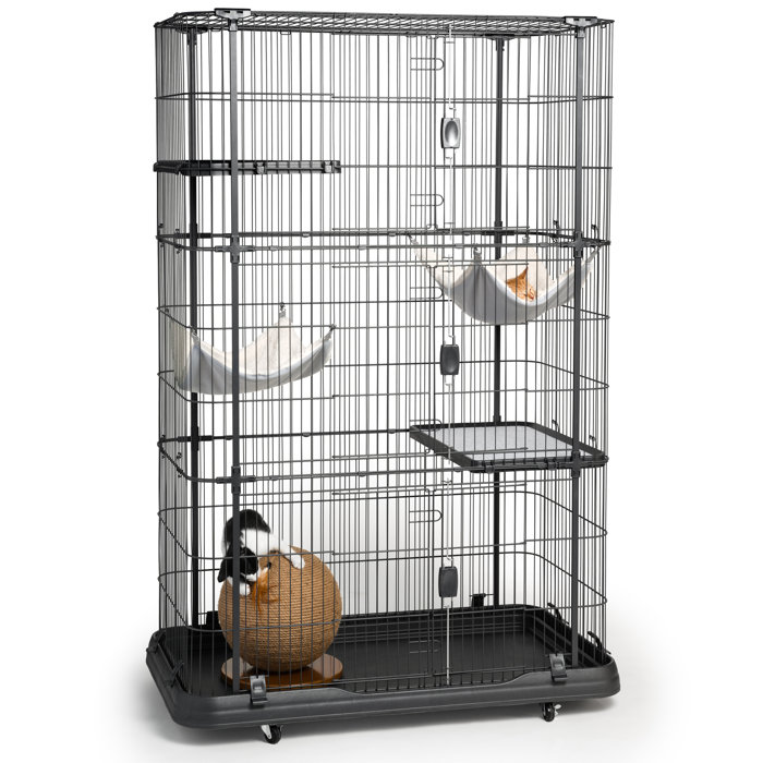 Archie & Oscar™ Elmo Cat Cage with Hammocks & Reviews Wayfair